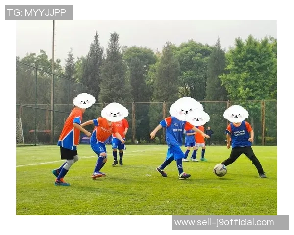 梦幻足球球衣在中国的流行趋势与市场潜力分析 梦幻足球球衣在中国的流行趋势与市场潜力分析