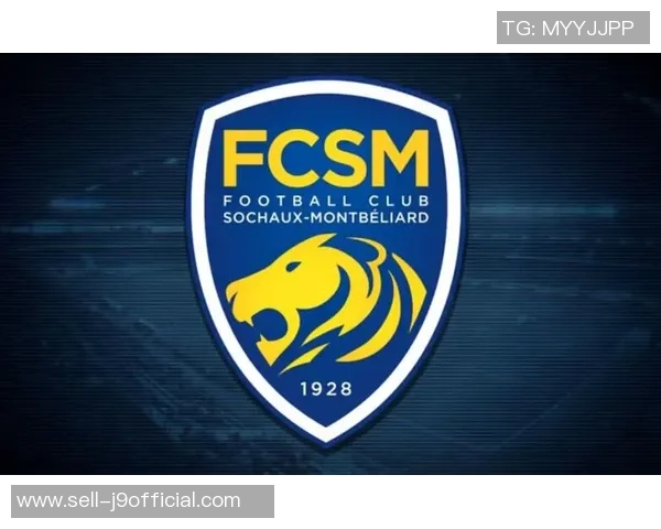 足球队队徽设计素材分享与创意灵感探索，助力打造独特球队形象与品牌价值